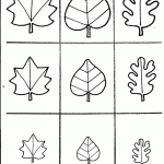fall leaves graphing